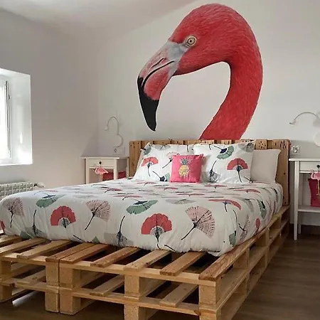 Hostel Cocos Surfhouse San Juan De La Arena