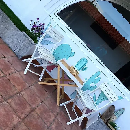 Hostel Cocos Surfhouse *