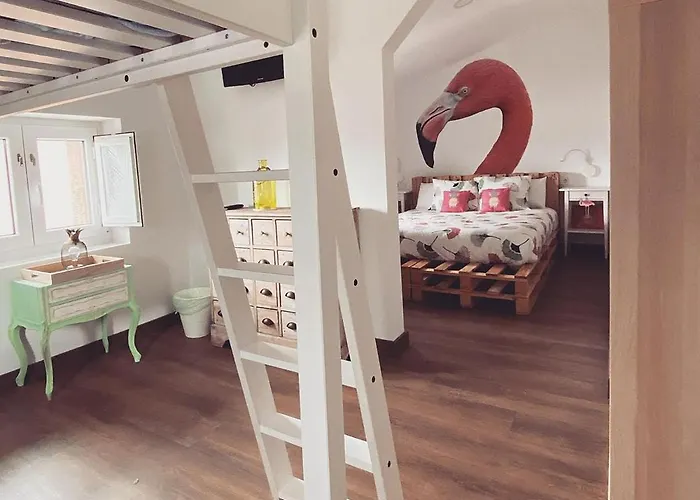 Cocos Surfhouse Hostal *