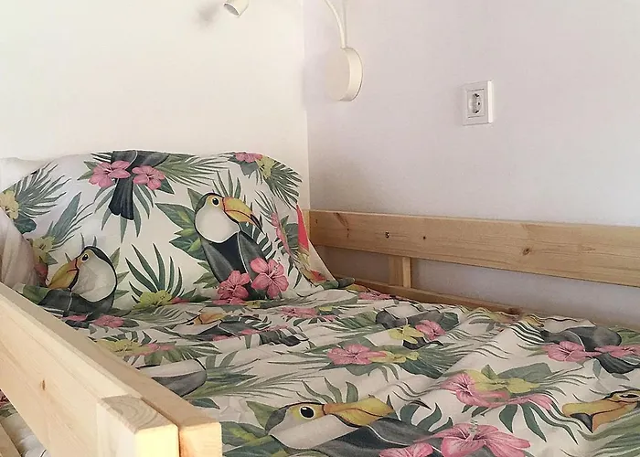 Cocos Surfhouse Hostal