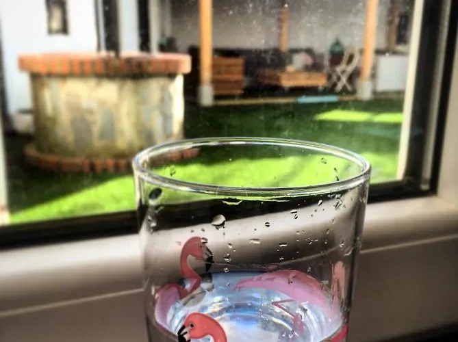 Cocos Surfhouse La Arena