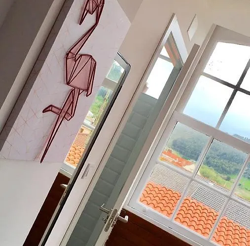 Cocos Surfhouse Hostal *