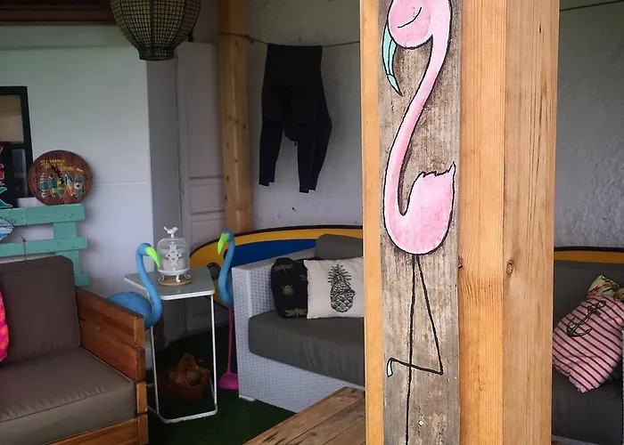 Cocos Surfhouse Hostal
