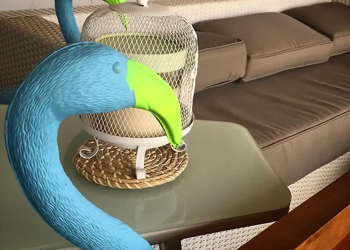 Cocos Surfhouse Hostal *