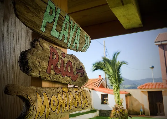 Cocos Surfhouse * La Arena