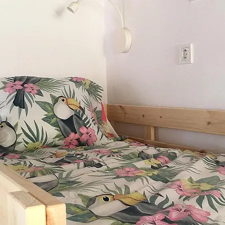 Cocos Surfhouse Vandrarhem