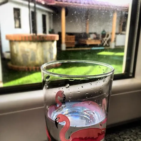 Cocos Surfhouse San Juan De La Arena