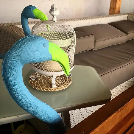 Cocos Surfhouse Хостел *